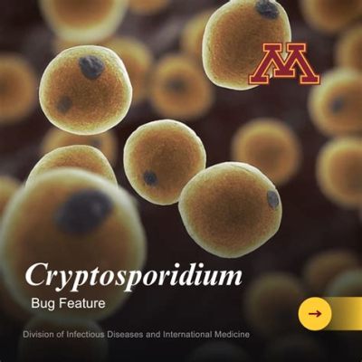  Kryptosporidium! Een microscopisch beestje dat een enorme impact heeft op de gezondheid van dieren en mensen